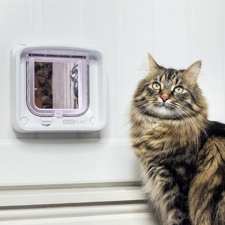 SureFlap Microchip Cat Flap Connect & Hub Bundle – White Small/Medium