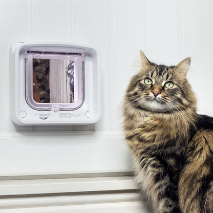 SureFlap Microchip Cat Flap Connect & Hub Bundle – White Small/Medium